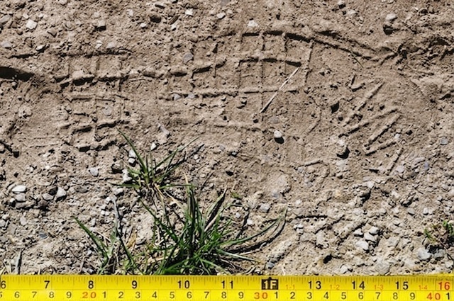 Sopralluoghi e rilievi forensi sulla scena del crimine